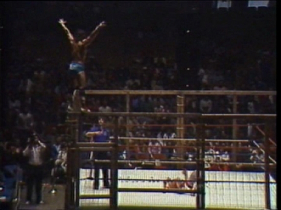 Wrestling Gold DVD Savage