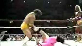 WWF Bret Hart vs. Hulk Hogan